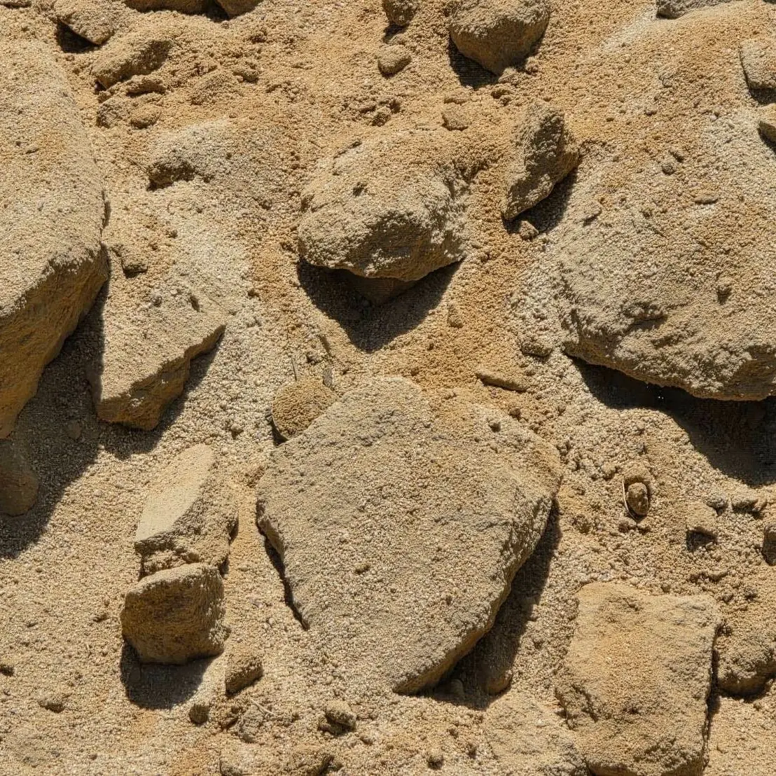 516779489 1250720997065193 3150782942411658782 n